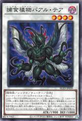 遊戯王カード インセクト女王 DP19 | インセクト クイーン 地属性 昆虫