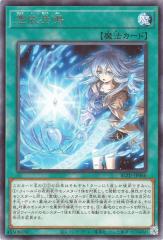 遊戯王カード スパイダー・ウェブ スターダスト・オーバードライブ