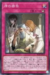 ヴァンガード 幻真星戦 LettiaMateS ディルアーシュ(FFR) DZ-BT13