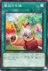 遊戯王カード 破壊指輪 エキスパート・エディション Vol.2 EE2 | 破壊