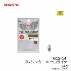 o[q TGCS-14 TGVJ[ LCi 14g@yދ ނz