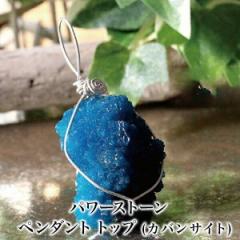 �p���[�X�g�[�� �y���_���g �g�b�v [�J�o���T�C�g] �Z�h�i �u���C�A���E�V���C�_�[�̃I���W�i���A�N�Z�T���[ �V�R��(�`���[�� �l�b�N���X