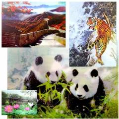 �v��3D�恚�����o��G�E3D�|�X�^�[B4�T�C�Y�b ����,���؊X,���y�Y,�O�b�Y,�J�^,�X�ܑ���,�M�t�g.�v���[���g,�v���X�`�b�N,�f�R���[�V����