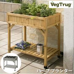 xWgO n[u v^[ VegTrug Herb Planter K[fjO ƒ؉ |pi n[u͔| v^[ ؐt[ X^CbV
