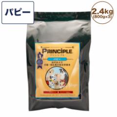 vVv ps[ 2.4kg(800g~3)  p t[h hbOt[h hCt[h Y F S S q[}O[h