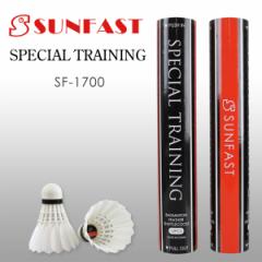 SUNFAST SPECIAL TRAINING(XyVg[jO) oh~gVg Tt@Xgy2팟葊z