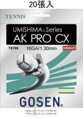 GOSEN TS760NA20P E~V} AK v CX 16/UMISHIMA AK PRO CX 16(mpbP[W20Zbg) ejXKbg S[Zy񂹁z