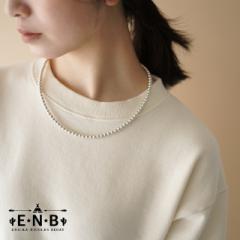 GbJ jRX rQC/ERICKA NICOLAS BEGAY VCj[/SHINY lbNX (5mm/50cm) Vo[925 fB[X 2023t 