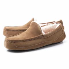 [] AO I[XgA UGG Australia JV V[Y Y MENS ASCOT AXRbg