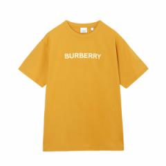 [] o[o[ BURBERRY N[lbNTVc Y