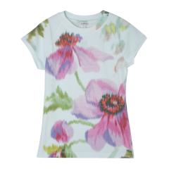 ���G�x LOEWE �N���[�l�b�NT�V���c ���f�B�[�X SMALL FIT T-SHIRT