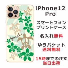 iPhone12pro  P[X ACtH12v Jo[ ӂ  nCA O[zk