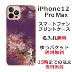 iPhone 12proMax  P[X ACtH12v}bNX Jo[ ӂ  avg aԎOf