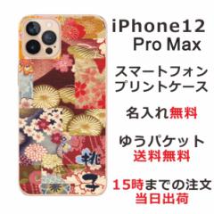 iPhone 12proMax  P[X ACtH12v}bNX Jo[ ӂ  avg pb`[NsN