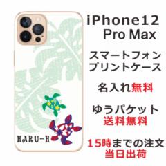 iPhone 12proMax  P[X ACtH12v}bNX Jo[ ӂ  nCAzk