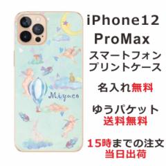 iPhone 12proMax  P[X ACtH12v}bNX Jo[ ӂ  GWFo[