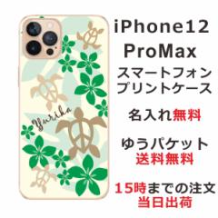 iPhone 12proMax  P[X ACtH12v}bNX Jo[ ӂ  nCA O[zk