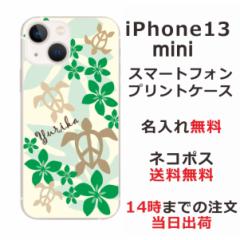 iPhone13 Mini P[X ACtH13~j Jo[ ӂ  nCA O[zk
