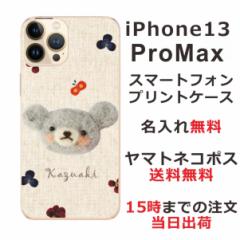 iPhone13 Pro Max  P[X ACtH13v}bNX Jo[ ӂ  tFgvgxA