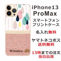iPhone13 Pro Max  P[X ACtH13v}bNX Jo[ ӂ  kfUC sN 