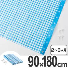 ���W���[�V�[�g �M���K���`�F�b�N L 2�`3�l�p �i �s�N�j�b�N�V�[�g ���� �s�N�j�b�N �s�N�j�b�N �^���� ������ �R���p�N�g �j