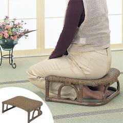 �����֎q ���^���� �唻�^�C�v ��45cm �i �֎q �C�X �`�F�A �A�W�A�� �j