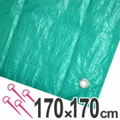 ���W���[�V�[�g�@�W�����{�V�[�g�@�s�y�V�[�g�@2��@1.7�~1.7m�@�O���[�� �i ���W���[�}�b�g �s�N�j�b�N�V�[�g �X�g�b�p�[�t�� �s�N�j�b