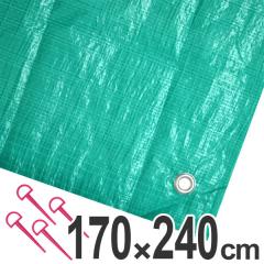 ���W���[�V�[�g�@�W�����{�V�[�g�@�s�y�V�[�g�@3��@1.7�~2.4m�@�O���[�� �i ���W���[�}�b�g �s�N�j�b�N�V�[�g �X�g�b�p�[�t�� �s�N�j�b