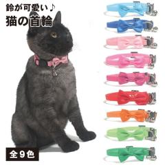 ss55、ジューンブライド、シングルリボン(⑤)わんちゃん猫ちゃん用首輪 2qn-calr-ribn_1.jpg