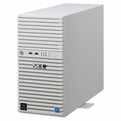 NEC [NP8100-2902YQ3Y] Express5800/D/T110k Xeon E-2314 4C/8GB*2/SATA 1TB*2 RAID1/W2022/^[ 3Nۏ