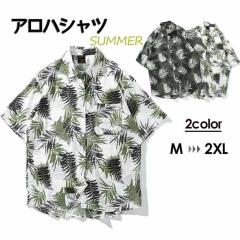 �y���r���[���e��+5%�Ҍ��z�A���n�V���c �V���c �����Y ���f�B�[�X �J�݃V���c �ĕ� �n���C�A�� �R�R�i�c�v�����g �O���[�� �V���v���f�U