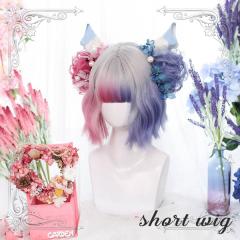 �y���r���[���e��+5%�Ҍ��z�E�B�b�O �O���f�[�V���� lolita ���f�B�[�X �t���E�B�b�O ������ʔ��Q �Z�� ��߉��� ���h�� ���� ����