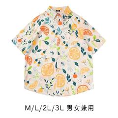 �y���r���[���e��+5%�Ҍ��z�A���n�V���c �V���c ���f�B�[�X �����Y �j�����p �J�݃V���c �ĕ� �n���C�A�� 5���� ���� ���� ������� ��