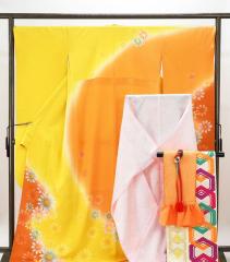 �U�� ���� �Ԗ͗l 5�_�Z�b�g �g��169.5cm ����68cm �ܑ� ���@�� �ђ��� �їg�� �U���Z�b�g �Ǖi ���T�C�N�� ���� ���� e4086