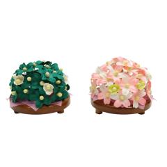 AEgbgi l` Pi ^ k  PL 6cm (25a-ya-0525) CeA fBXvC ؏i