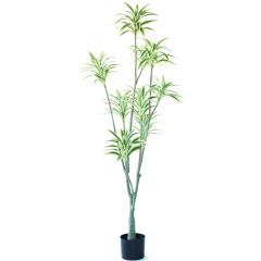 lHϗtA \OIuW}CJ |bg 150i1j992990 ؃|bg ցALԃTCY CeA tFCNO[  G