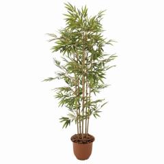 lHϗtA _P 180cm 180cm iP231) isk1068) isj CeAO[ tFCNO[