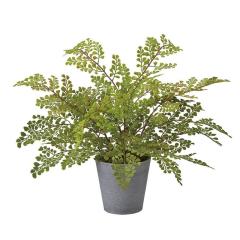 lHϗtA AWA^ |bg G}H 30cm iP212) izv1491) isj CeAO[ tFCNO[