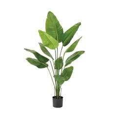 lHϗtA Xg`A |bg 150cm iP227) ifg1552) isj CeAO[ tFCNO[