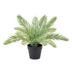 lHϗtA TCJX ~j|bg 30cm iP212) ifg183) isj CeAO[ tFCNO[