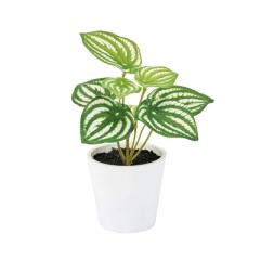 lHϗtA yy~A v`|bg G}H 17cm iP208) izv9199) isj CeAO[ tFCNO[