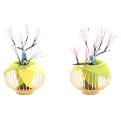 �A�E�g���b�g�i ���l�` ���k�P�i �g���~ ��S �΂Ɖ��F ����15cm  �C���e���A �f�B�X�v���C ���؏����i