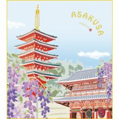 色紙絵 おみやげ色紙 洋美 浅草寺に藤 浅草 k20-024(代引き不可)