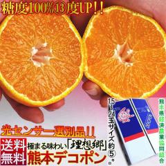 �f�R�|�� �����͔|�`�I�n�͔| ��5kg 15�`24�� �F�{���Y ���x13�x�ȏ�ۏ� ���Z���T�[�I�ʍς� �S�����ꓜ�_�i����ʉ�