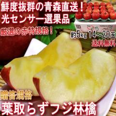 �Y�n���� �t�Ƃ炸�t�W�ь� �Ԃ�� ��5kg 14�`20�� �X���Y �ԓ��K�i �����\ �Z���T�[�I�ʍς� �X������N�x���Q�̒����I