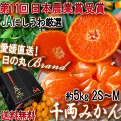 �Y�n���� ���̊ې痼�݂��� ��5kg 2S�`M�T�C�Y ���Q���Y �����K�i ���ʌ��� JA�ɂ����� ��p��������̃u�����h�����I