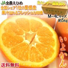 �ɗ\�� ���悩�� ���Q�Y ��5kg M�`4L�T�C�Y ���Z���T�[�I�� ���Y�ʃg�b�v3�̊��k �Z���Ȗ��킢�̉ʕ�