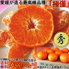 �Õ� ����؂� �����͔| ��2.5kg M�`4L�T�C�Y ���Q���Y �����K�i JA����i �G�i �����͔|�Œ��J�Ɉ�Ă��Z���Ȗ��ƊÂ��̃M�t�g�t���[�c