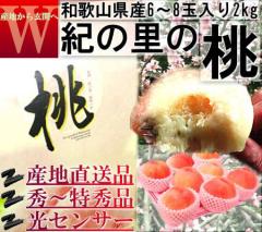 �Y�n���� �I�̗��� ��2kg 6�`8�� �����K�i �a�̎R���Y ���G�i�`�G�i ���x�Z���T�[�Ō��I�������Q�̖��I�M�t�g�œK�ȏ{�̃t���[�c