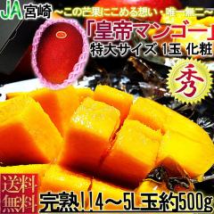 �{��}���S�[ ���n���� �P�ʓ��� �S�`�TL�T�C�Y �{�茧�Y ��ʌ��� �G�i JA�{�蒆�� �����i �����͔| 